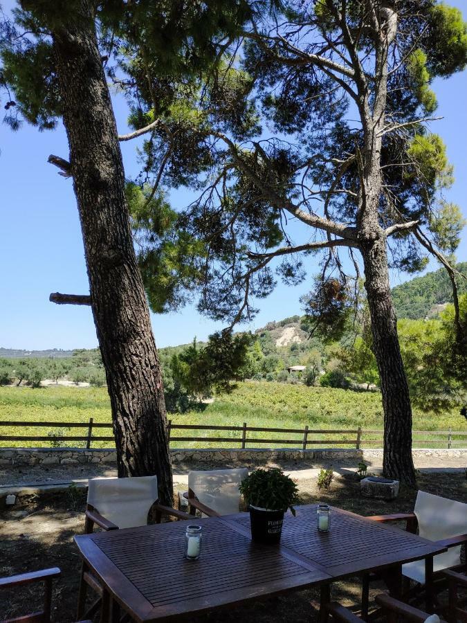 Villa Conifera Закинтос Екстериор снимка