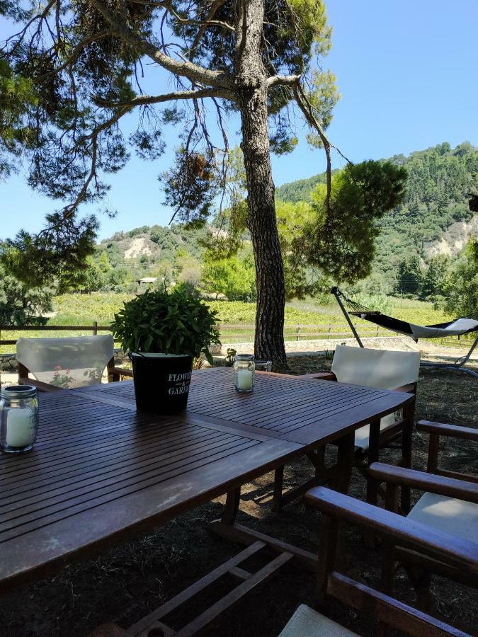 Villa Conifera Закинтос Екстериор снимка